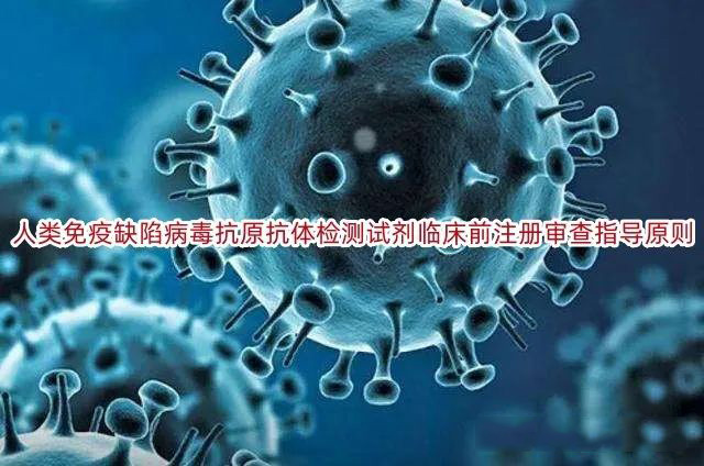 人类免疫缺陷病毒抗原抗体检测试剂临床前注册审查指导原则