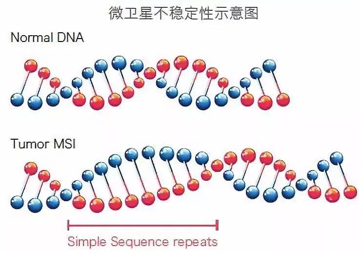 微卫星不稳定性（MSI）检测试剂临床评价注册审查指导原则