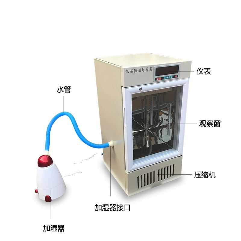 经济型恒温恒湿培养箱2.jpg