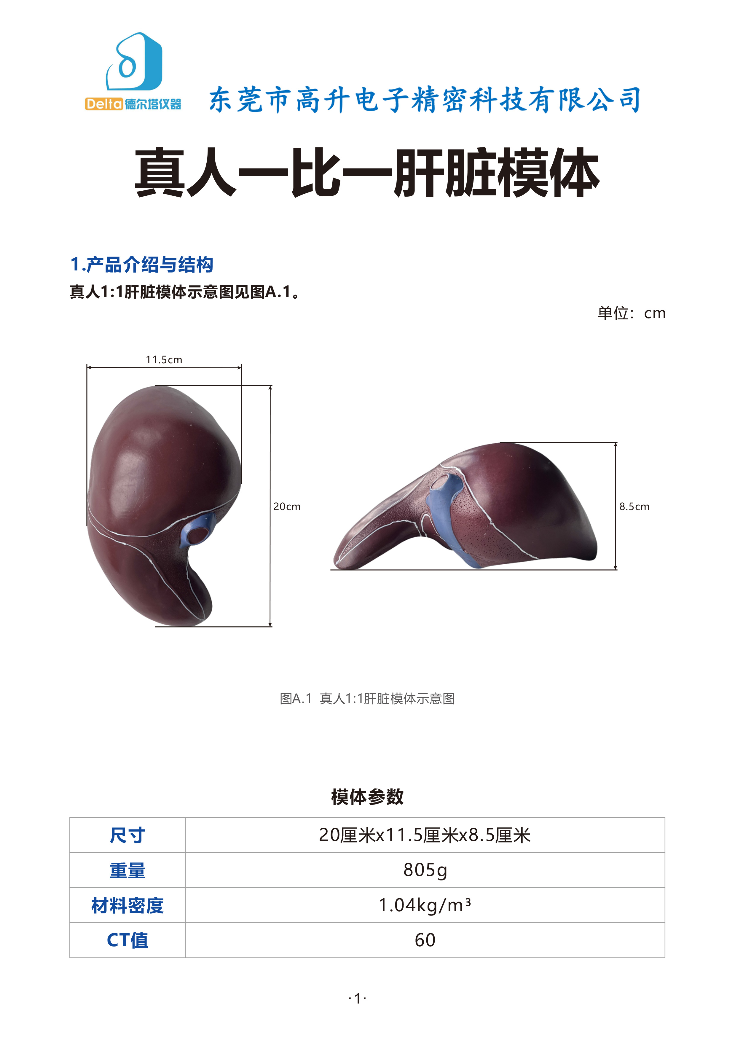 真人一比一肝脏模体-说明书0708.jpg