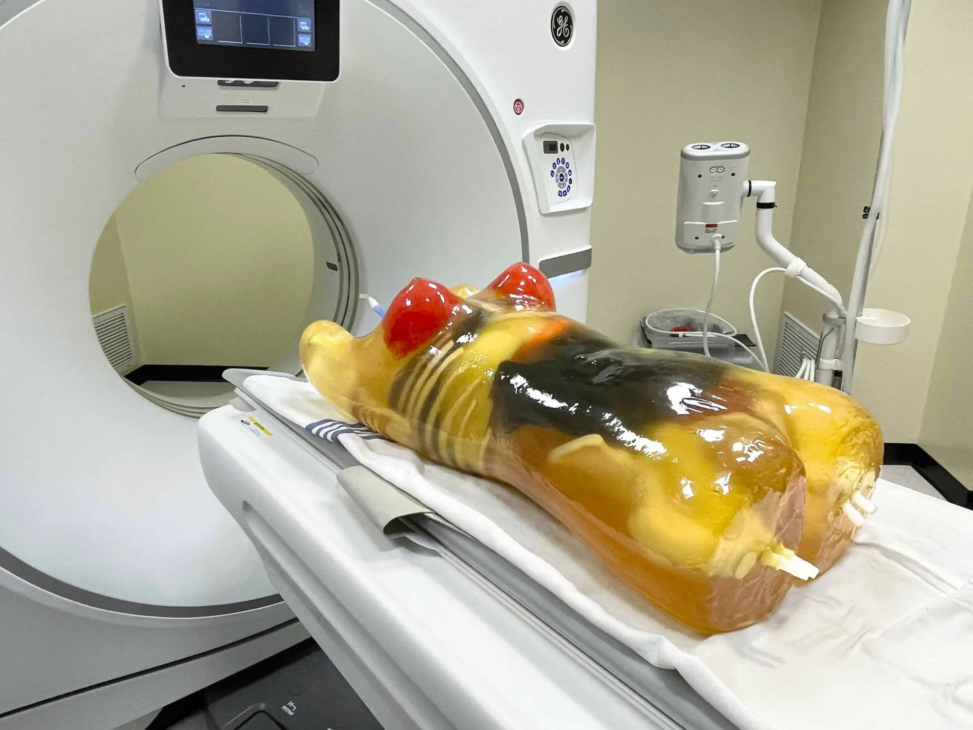 成年女性躯干模体 放射造影测试体模CT-A02