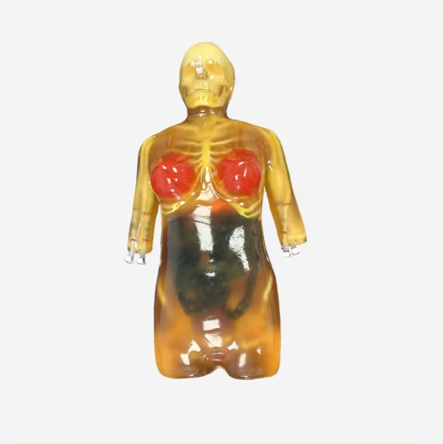 成人女性对比剂体模CT-A03
